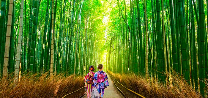 Qué ver en Japón 3 Arashiyama