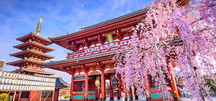 Qué ver en Japón | Templo Senso-Ji