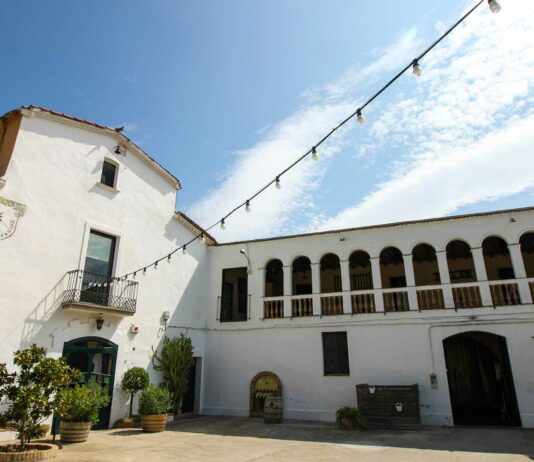 Bodegas 1