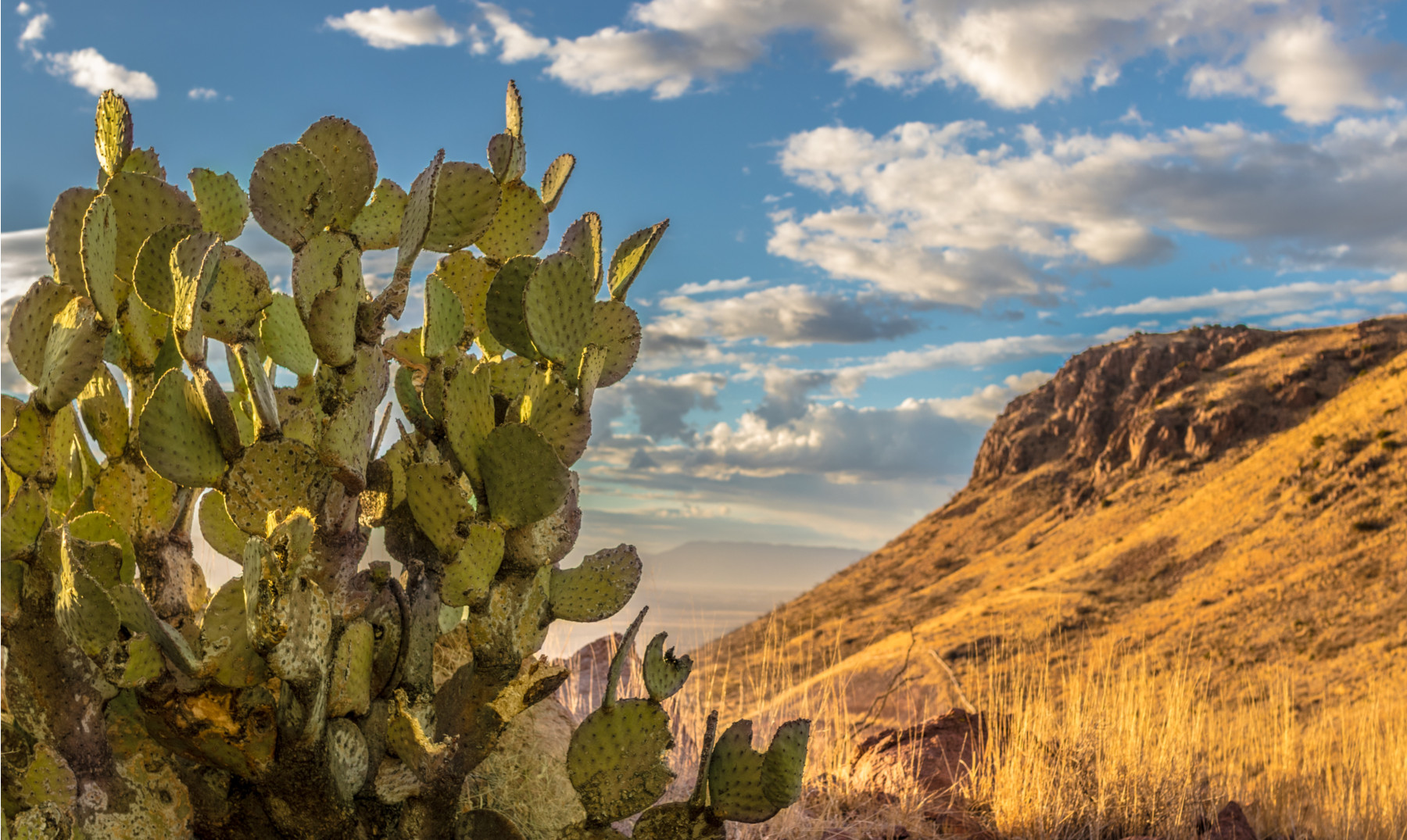 Qué ver en Chihuahua 10 Lugares Imprescindibles [Con Imágenes]