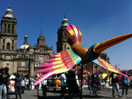 Qué ver en Ciudad de México