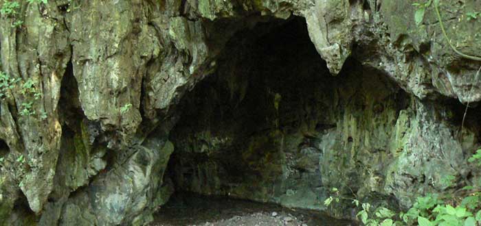 Cuevas de Rolando