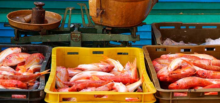 Qué ver en Split | Mercado del Pescado