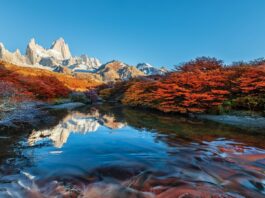 Parques Nacionales de Argentina | Para conocer a fondo el país