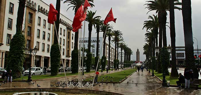 Qué ver en Rabat | Avenida Mohammed V