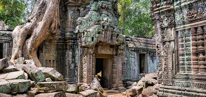 Qué ver en Camboya | Ta Prohm