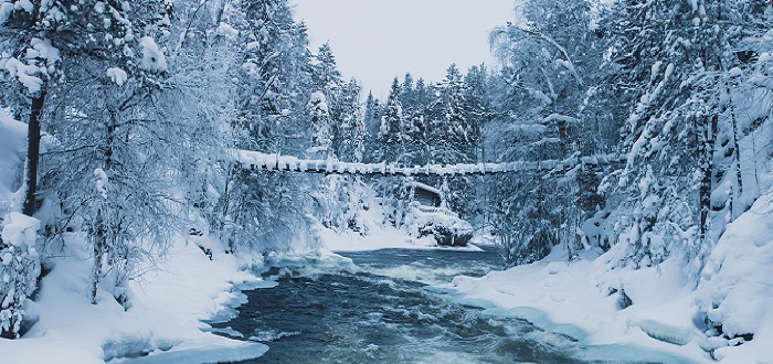 Qué ver en Finlandia | Oulanka national park