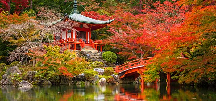 Ciudades más bonitas del mundo | Kioto