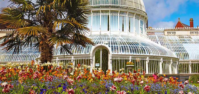 Qué ver en Belfast | Jardín Botánico de Belfast