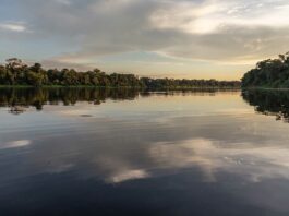 La Región de Loreto, un gran imprescindible de Perú La Región de Loreto, un gran imprescindible de Perú