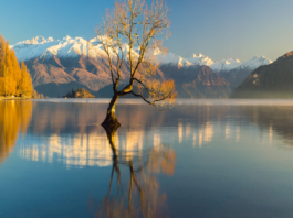 Qué ver en Nueva Zelanda | 10 Lugares Imprescindibles