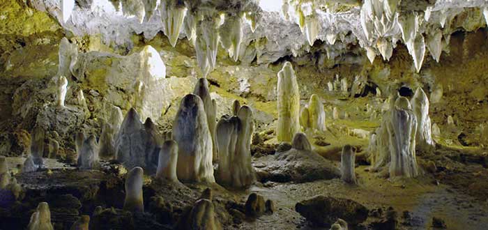 Qué ver en Cantabria | Cueva El Soplao