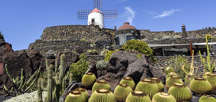 Qué ver en Lanzarote | Jardín de Cactus de Lanzarote