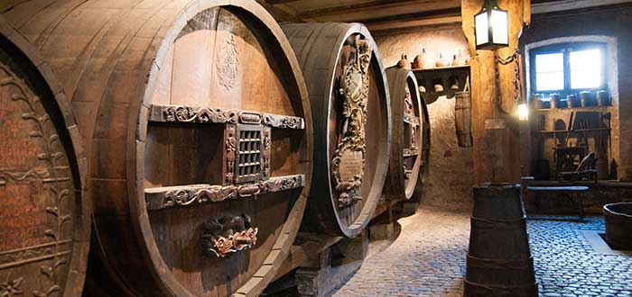 Qué ver en Olite | Museo del Vino de Navarra