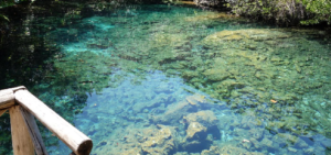 Qué ver en Punta Cana | Reserva Ecológica Ojos Indígenas