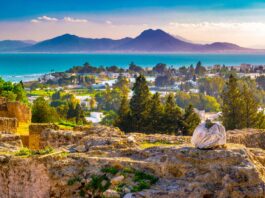 Qué ver en Túnez | 10 Lugares Imprescindibles