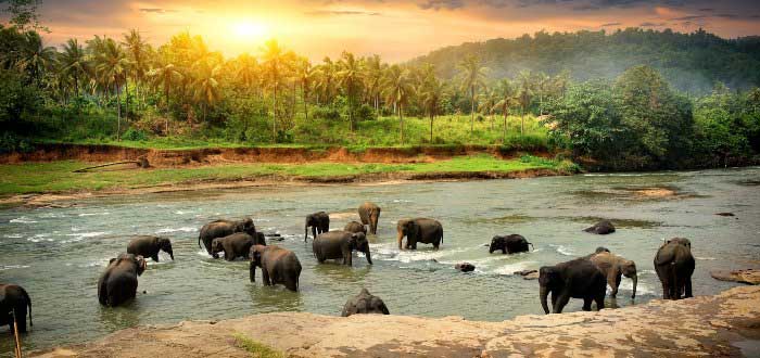Destinos baratos para viajar | Sri Lanka