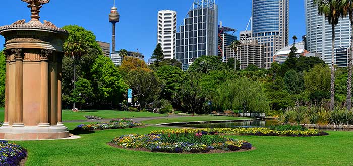 Qué ver en Sidney | Real Jardín Botánico de Sidney