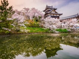 Qué ver en Nara | 10 Lugares Imprescindibles