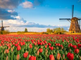 Qué ver en los Países Bajos, Lugares Imprescindibles