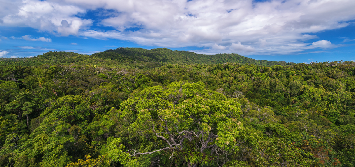 Rainforestation Nature Park Garganta Barron | Qué ver en Cairns