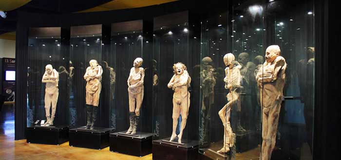 Museo de las Momias