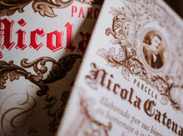 Viajar gracias al vino: la historia de Bertrand Vigouroux viajar gracias al vino