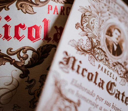 viajar gracias al vino