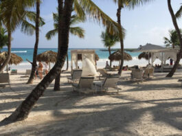 mejores actividades republica dominicana ricardo miranda miret