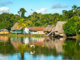 amazonia peruana