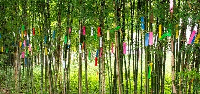 Tanabata Matsuri | Cultura de Japón