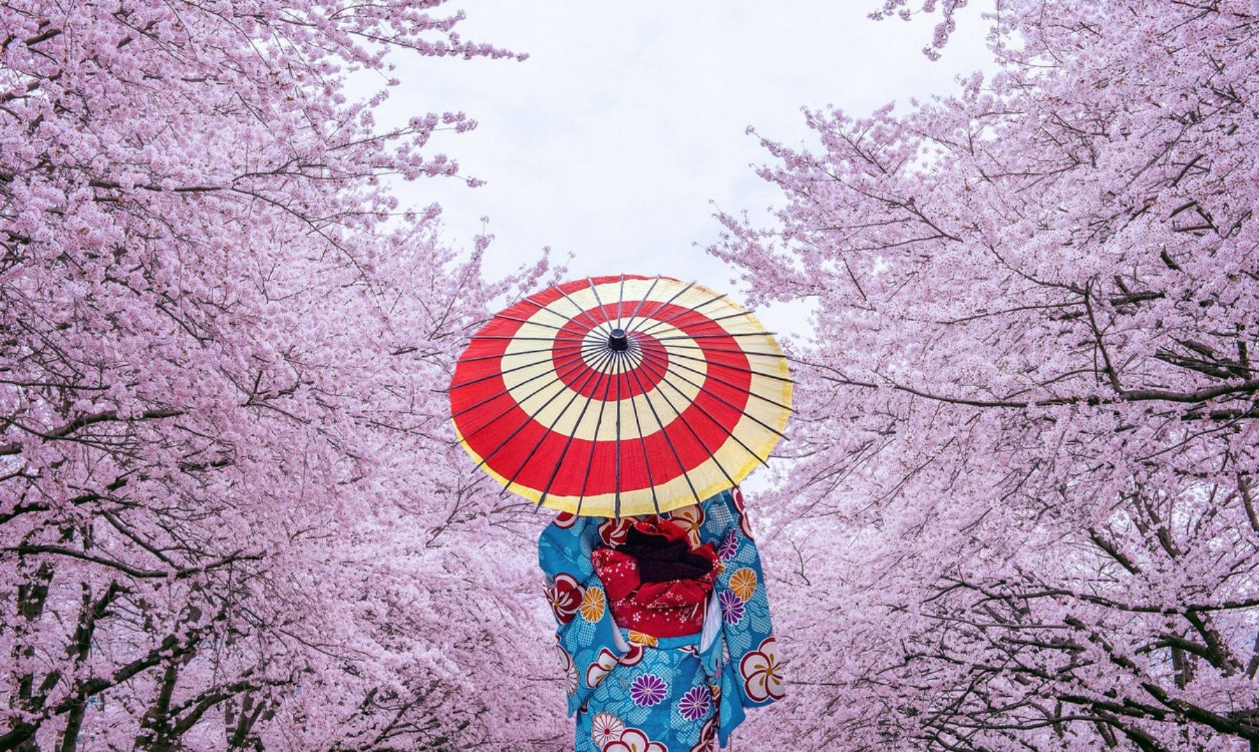 Cultura de Japón | Características, costumbres y tradiciones