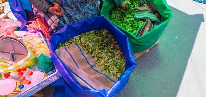 Venta de hoja de coca en Bolivia