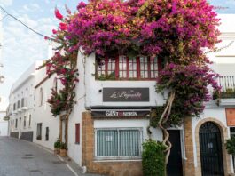 Conil de la Frontera