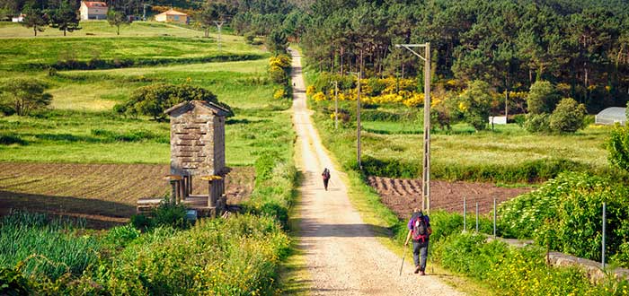 Qué ve en Finisterre: Camino a Santiago de Compostela
