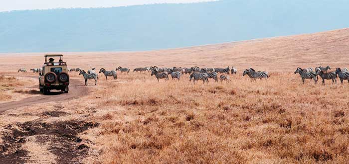 Área de conservación natural Ngorongoro