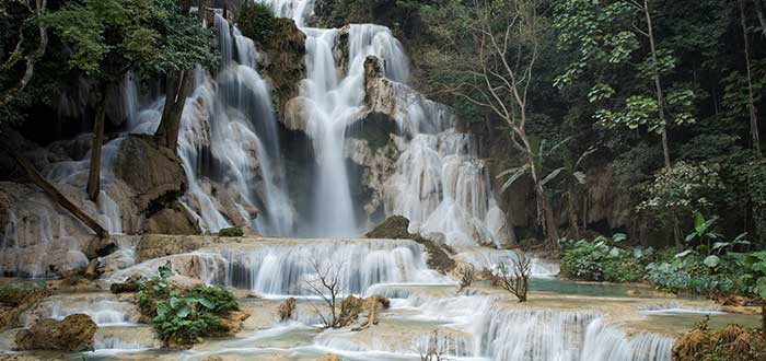 Cataratas de Tat Kuang Si - Turismo en Laos