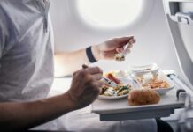 ¿Se puede llevar comida en el avión?
