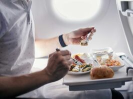 ¿Se puede llevar comida en el avión?