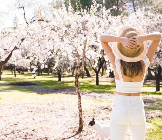 Los 5 mejores viajes para primavera: Destinos fascinantes mejores viajes para primavera
