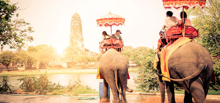 paseo elefante india