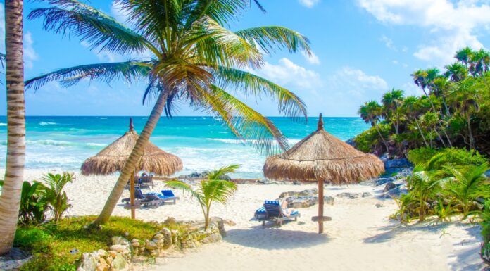 Dónde alojarse en Playa del Carmen: las mejores zonas