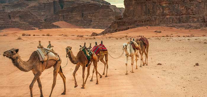 Descubrir el Wadi Rum