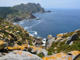 vigo isla
