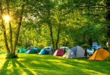Razones para elegir el camping