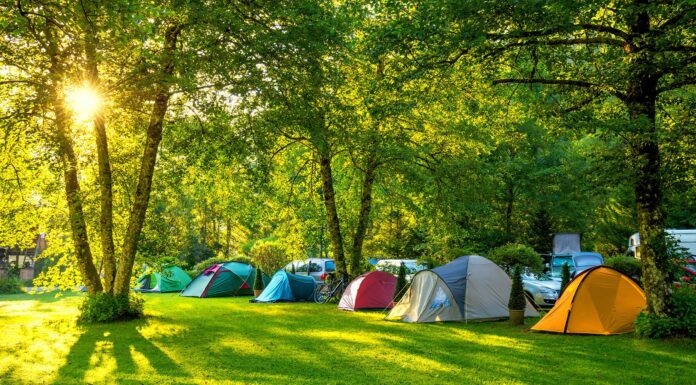 Razones para elegir el camping