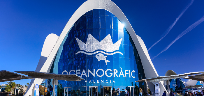 Visita el Acuario Oceanografic para descubrir lo mejor de Valencia con niños