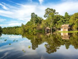 Viaje al amazonas Perú | Consejos y recomendaciones