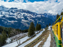 los mejores trenes turísticos del mundo