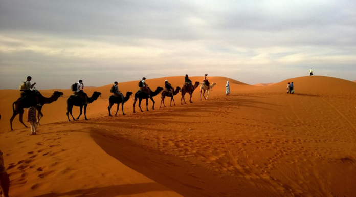 Viajar al desierto: paseo en camello